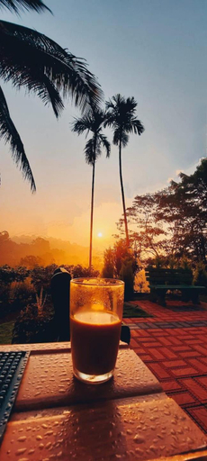 Food & Drinks 5, Prakruti Home stay, Kodagu
