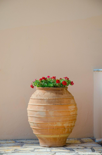 Others 5, Jasmine Apartments, Ionian Islands