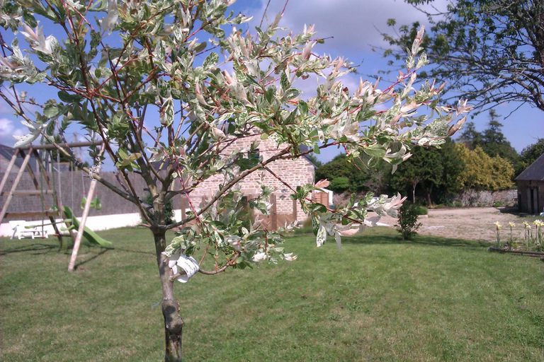 Others 4, Les Gites de Kerdurod, Morbihan
