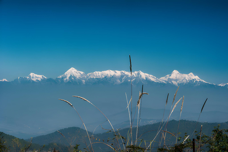 Others 4, The Lookout Luxury Cottage, Nainital