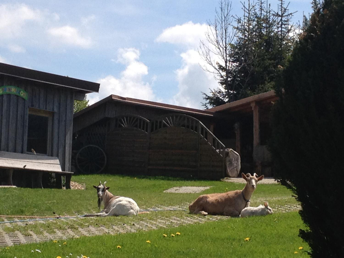Zur neuen Post Landgasthof, Freyung-Grafenau