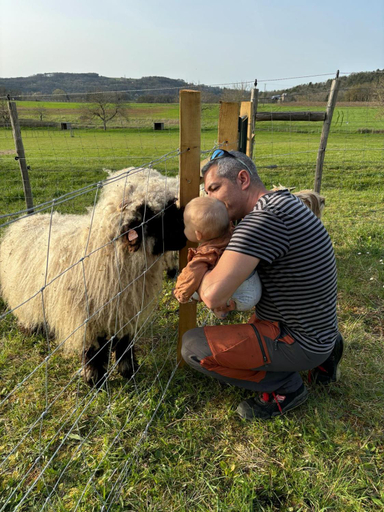 Others 3, Ferme des Petites Oreilles 4 etoiles, Dordogne