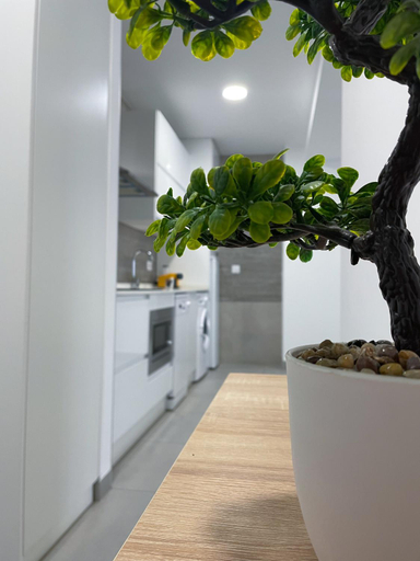 2, Apartamentos Lusitania Parking Gratis bajo disponibilidad, Badajoz