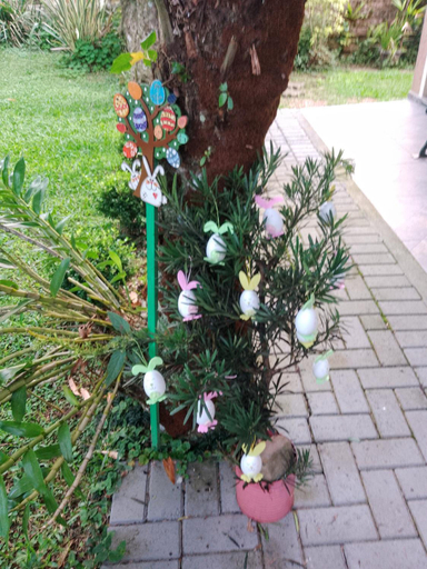 Others 3, Hospedagem Caminho das Rosas-suites em Gramado, Gramado