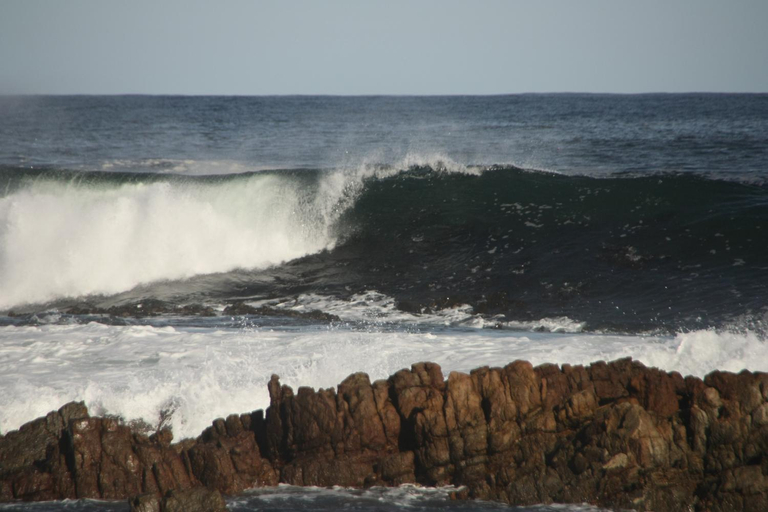 Others 2, Salt Shore Studios, Overberg