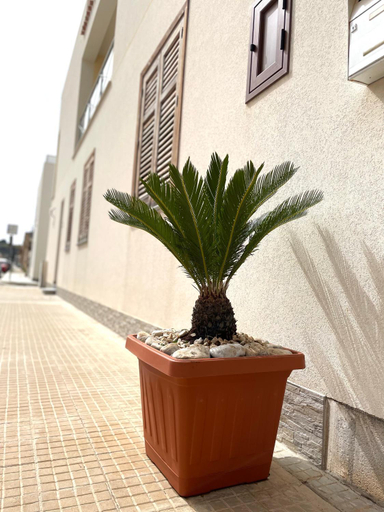 Others 5, B&B La CYCAS, Trapani