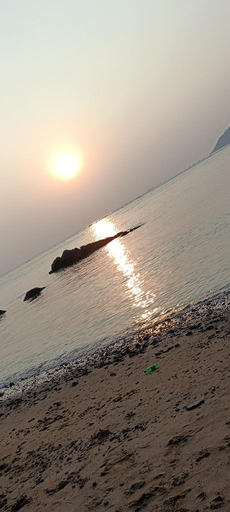 Exterior & Views 4, VT beach home leaf, Uttara Kannada