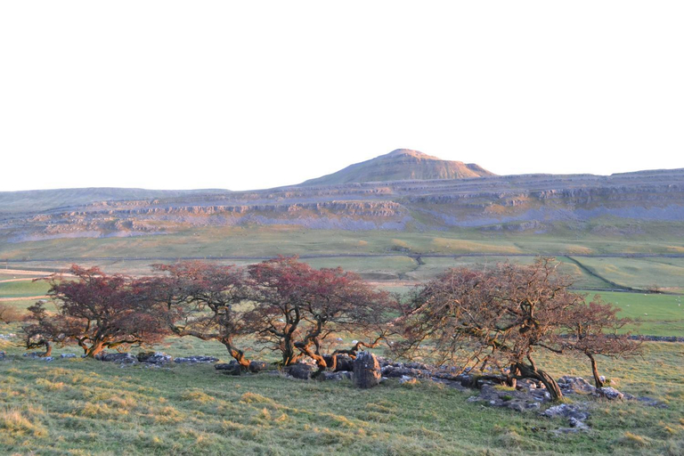 Others 3, Dalecote Barn Bed & Breakfast, North Yorkshire