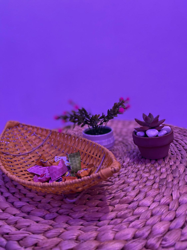 Others 3, House Thi Đa Lat, Đà Lạt