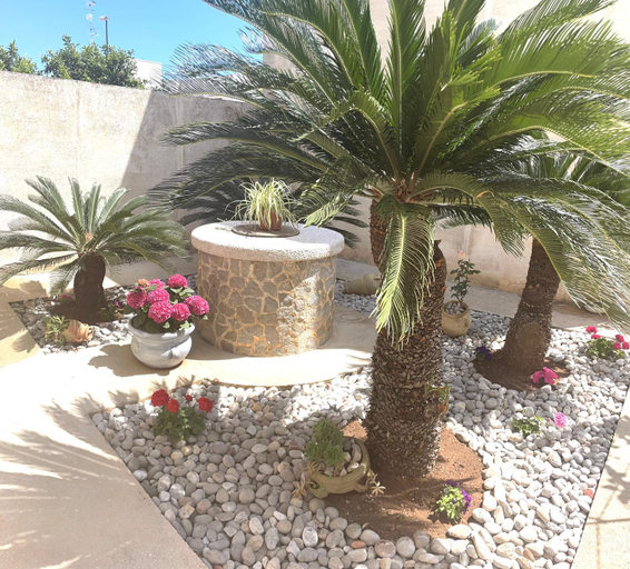 Others 2, B&B La CYCAS, Trapani