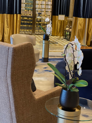 Public Area 3, Sofia Hotel Balkan a Luxury Collection Hotel, Stolichna