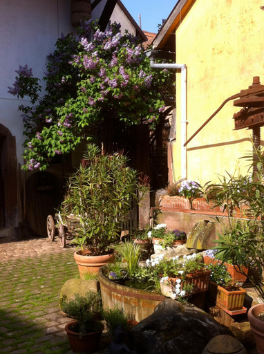 Others 4, La Maison de Caroline, Bas-Rhin