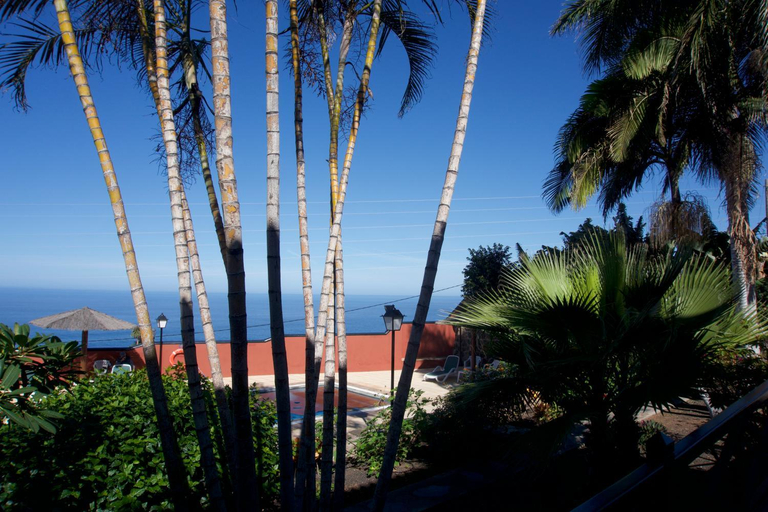 Others 3, Finca La Romera, Santa Cruz de Tenerife