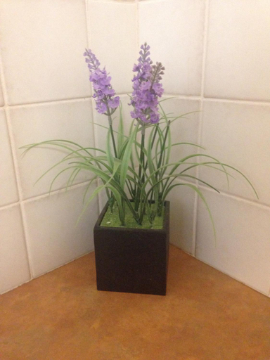 Bathroom 7