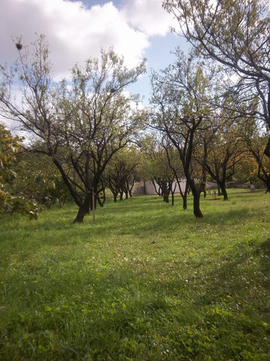 Others 3, Guesthouse Budima, Dubrovačko Primorje