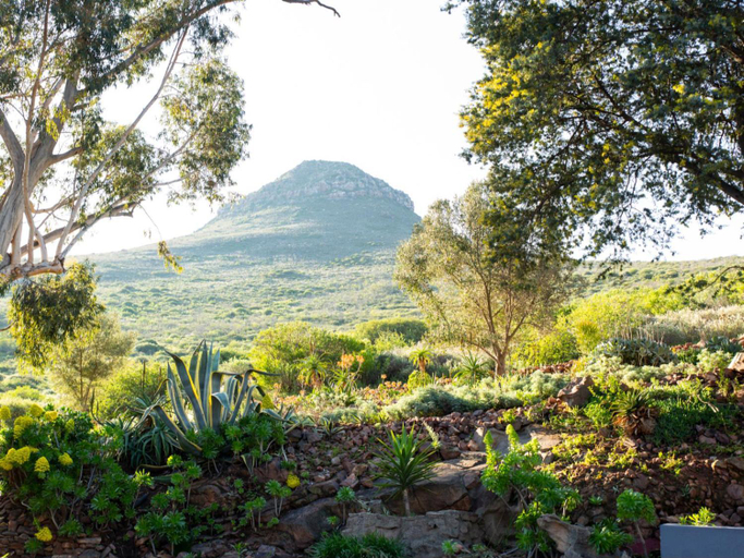 Others 5, Piketberg Guesthouse, West Coast