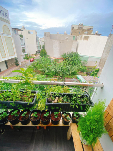 Others 4, O Vung's Homestay, Vũng Tàu