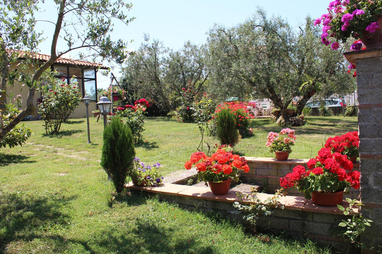 Others 5, B&B L'amicizia, Viterbo