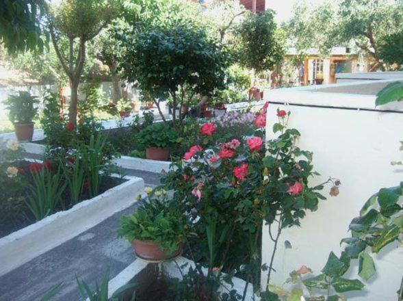 Garden 2, Villa Irida, Central Macedonia
