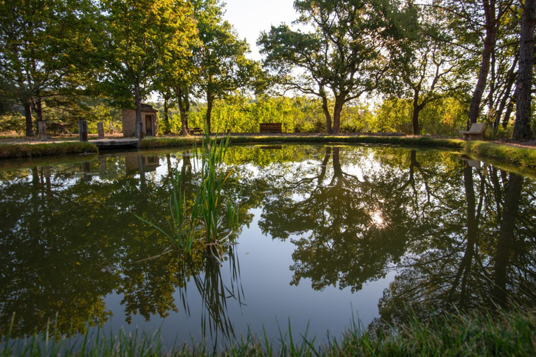 Others 4, BASTIDE DU DEFENDS, Vaucluse