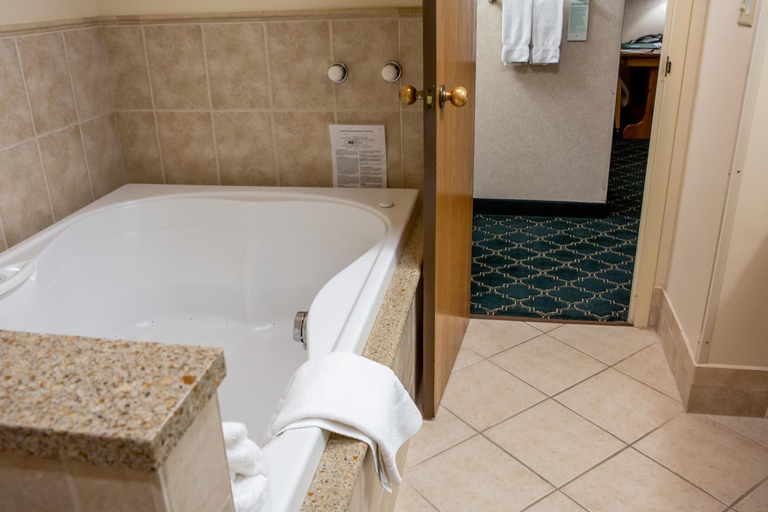 Bathroom 3, Bavarian Inn Lodge, Saginaw