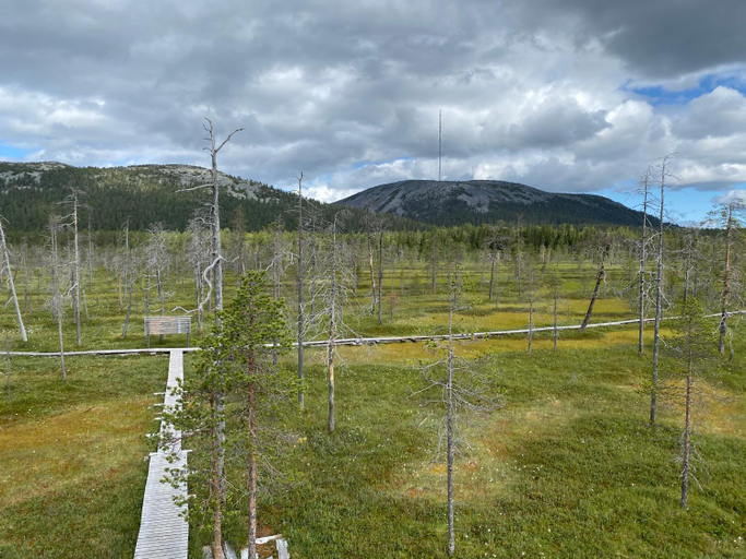 Others 5, Kultakero Northern Sky, Lapland