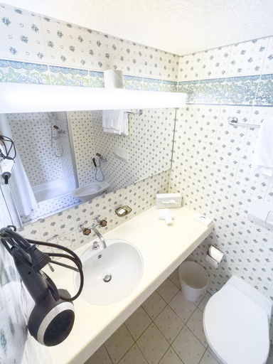 Bathroom 4, Hotel Sternen Unterwasser, Toggenburg