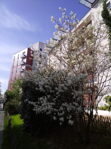 Privilodges Lyon, Rhône