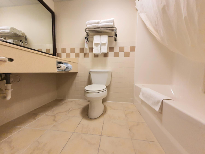 Bathroom 4, AmeriVu Inn and Suites - Waconia, Carver