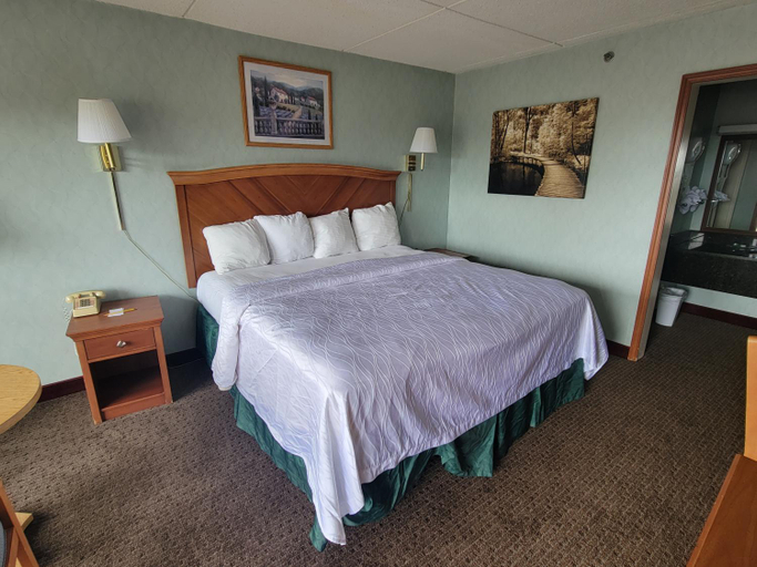 Bedroom, Downtown Inn, Buncombe
