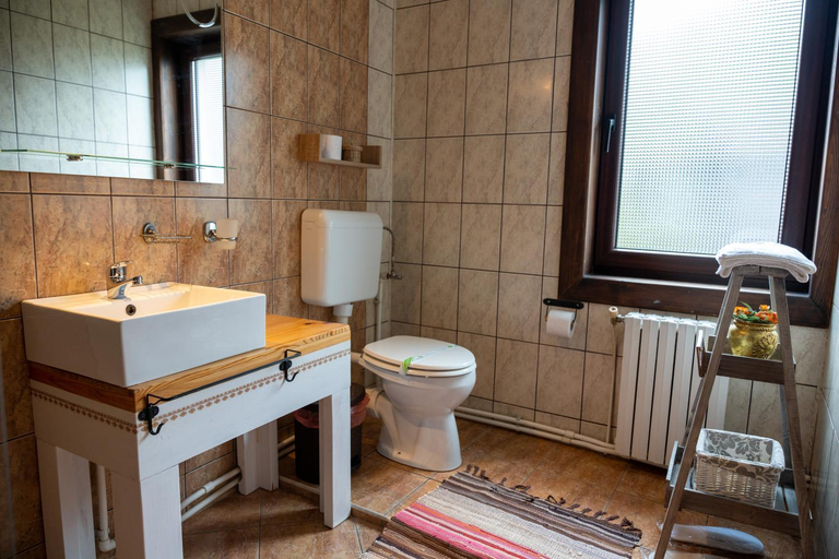 Others 3, Casa Calin, Vama
