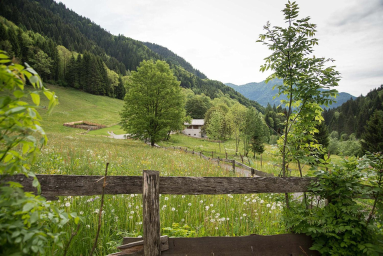 Others 5, Baite Di Pra, Trento