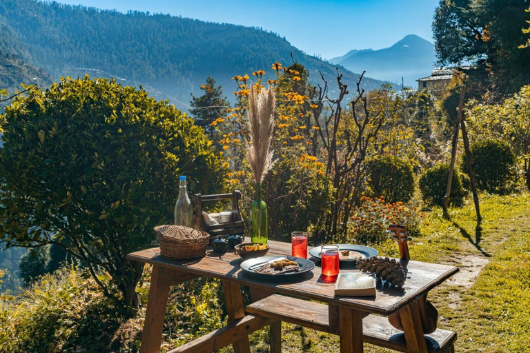 Food & Drinks 4, Zostel Homes Laida (Jibhi), Kullu