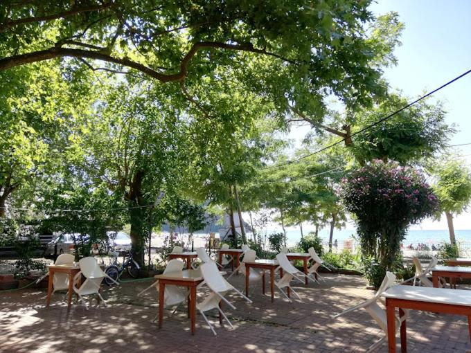 Others 4, PINAR OTEL, Kurucaşile