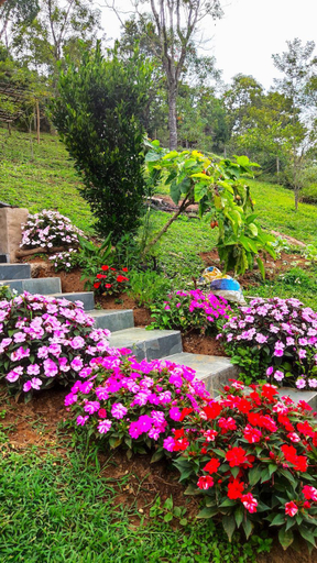 Others 3, Residencia Da Familia Binitz, Resende