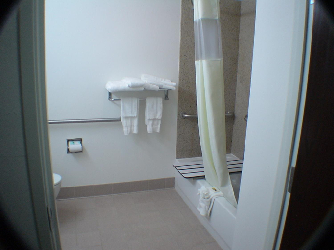 Bathroom 3, Budget Host Inn and Suites Cameron, Milam