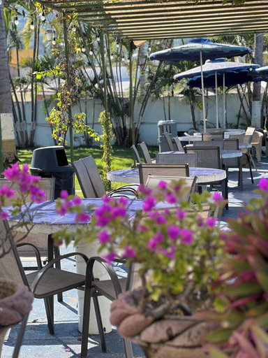 Food & Drinks 5, Villas el Dorado, Compostela
