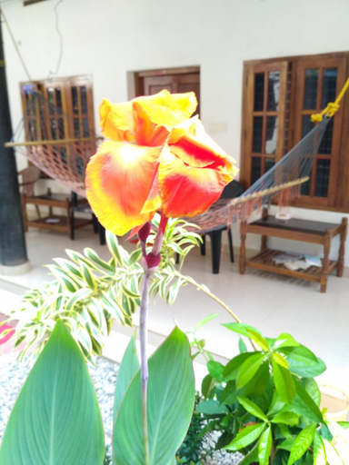 Others 2, Kaithakuzhi Home Stay, Thiruvananthapuram