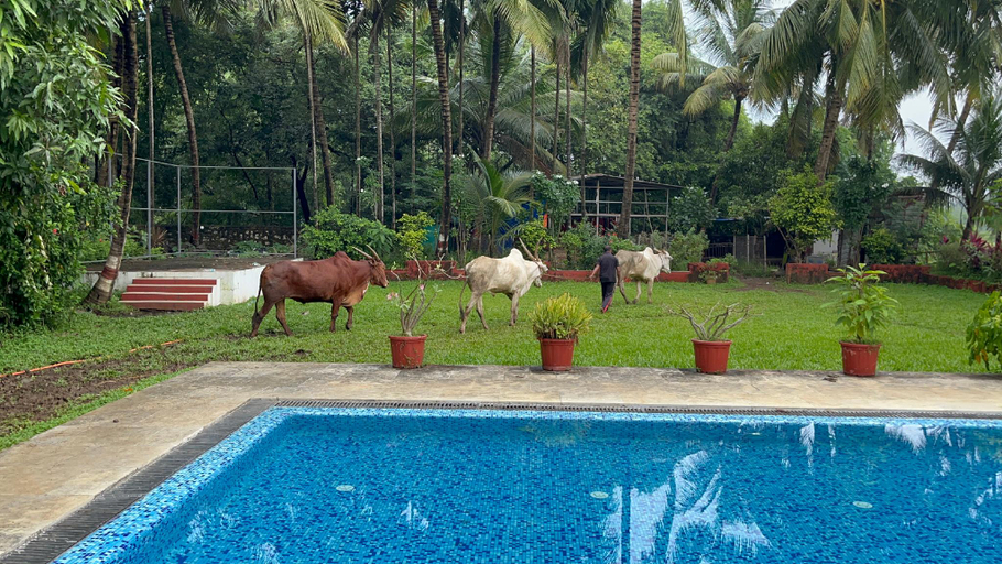 Others 4, Ruturaj Inn, Raigarh