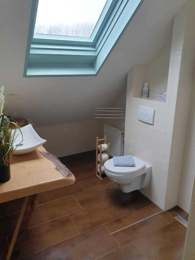 Bathroom 3, Boutique hotel Zeelui, Bergen