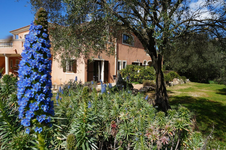 Others 5, Chambre d'Hotes Domaine Pero Longo, Corse-du-Sud
