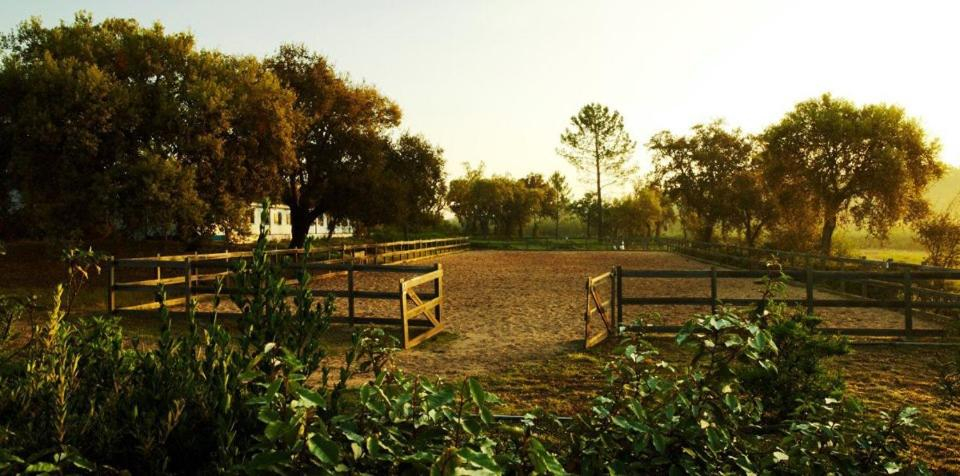 Exterior view 5, Quinta Nova do Archino 18, Alenquer