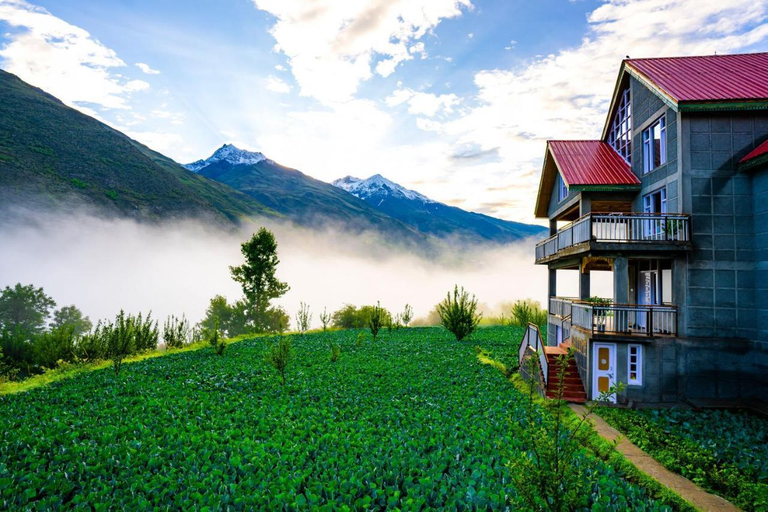 Others 4, Zostel Homes Rashil (Lahaul and Spiti), Lahul & Spiti