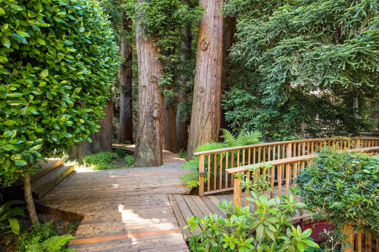 Others 4, Mill Valley Inn, Marin