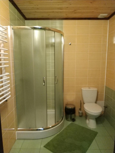 Bathroom, Оселя Драгобрат, Rakhivs'kyi