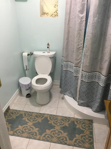 Bathroom 3, Studio apartment at Historical House, Galveston
