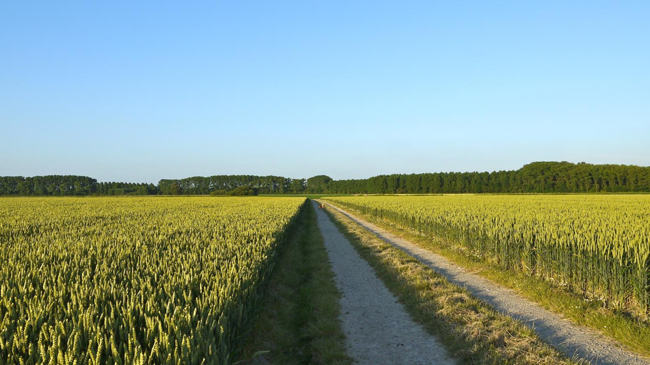 Others 2, B&B Hemel & Haard, Oost-Vlaanderen