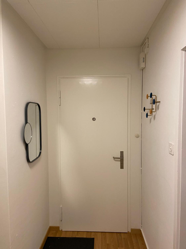 Others 4, Comfort 1 and 2BDR Apartment close to Zurich Airport, Zürich