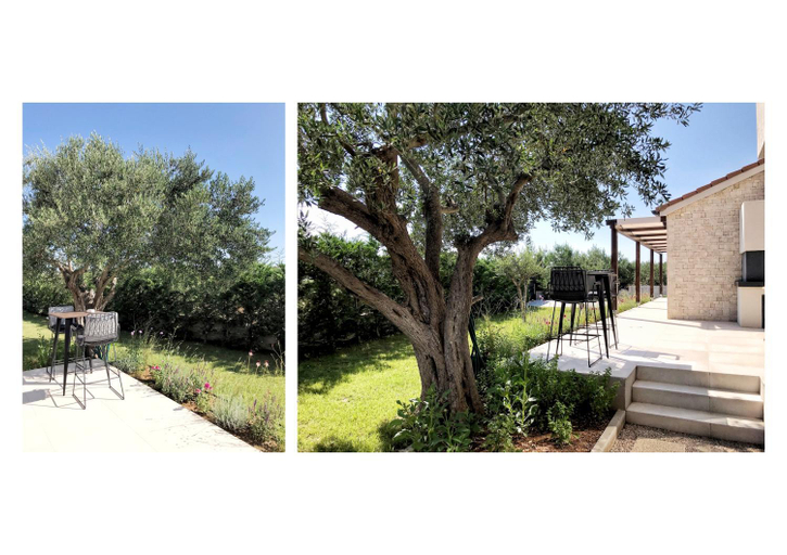 Others 5, Villa Zann, Šibenik