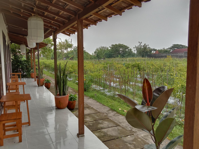 Scenery 10